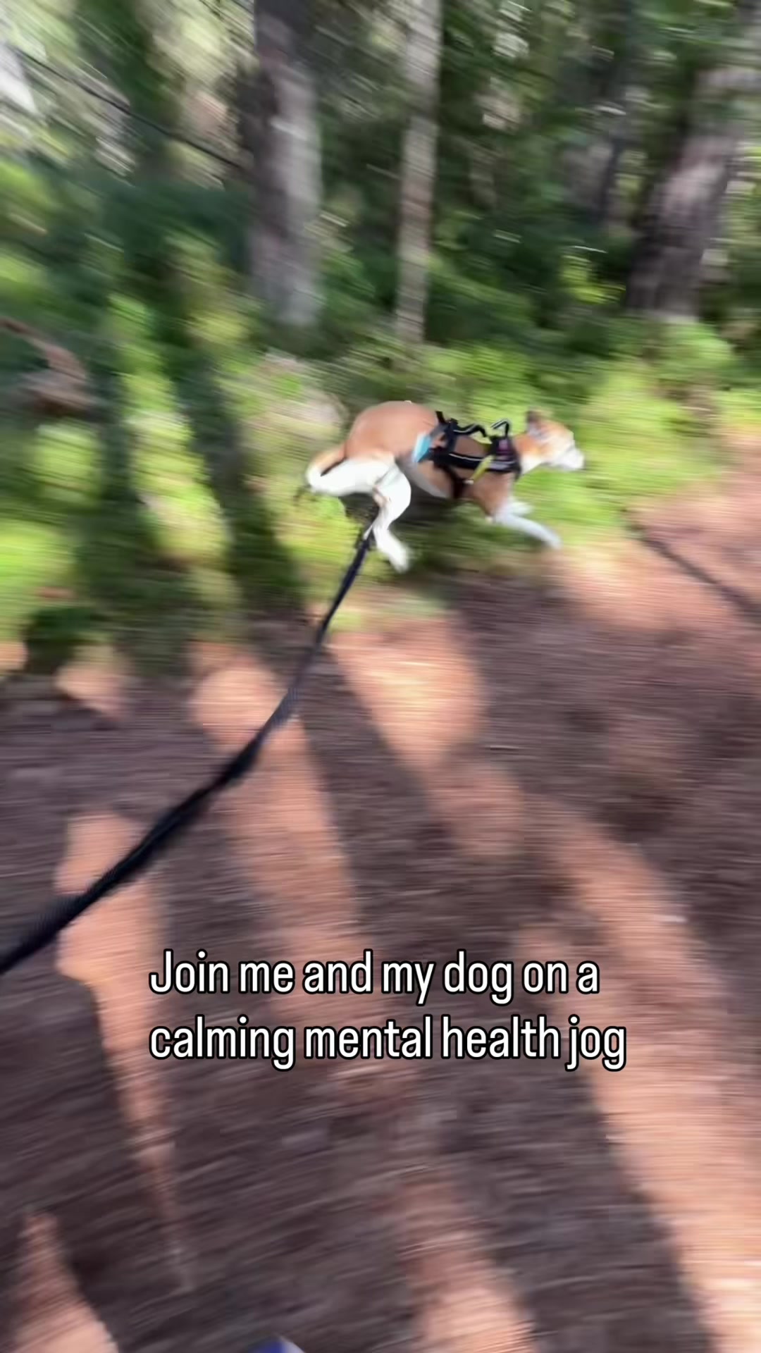 A dog running excitedly alongside its owner on a trail